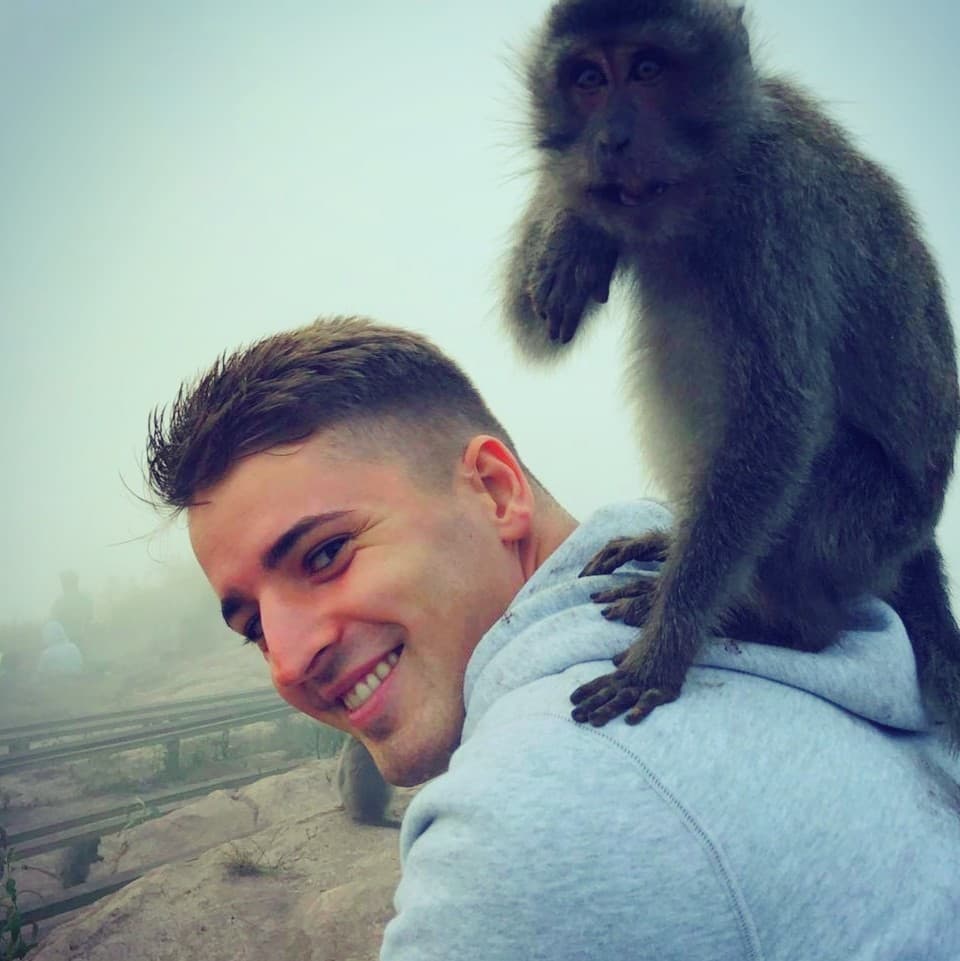monkey