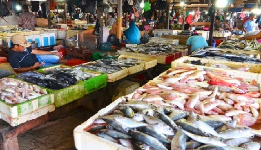 Kedonganan-Fish-Market
